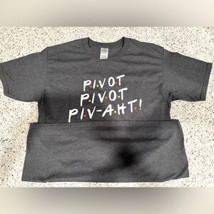 EUC Gildan Premium Cotton FRIENDS PIVOT Tshirt Unisex Medium Grey Super soft
